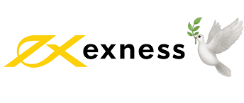 The Ultimate Guide to MT4 Multiterminal Exness The Ultimate Guide to MT4 Multiterminal Exness